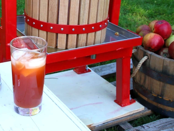 Cider Press Day